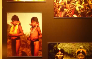 Peabody Museum. Harvard