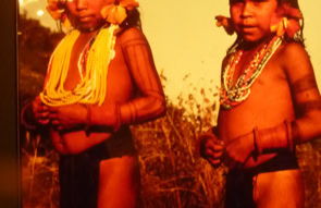 Peabody Museum. Harvard